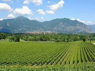 Franciacorta